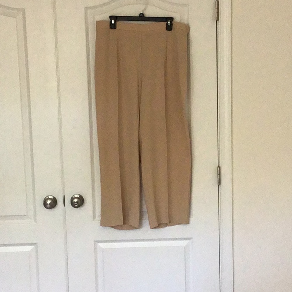 Dress pants